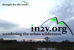 wandering the urban wilderness