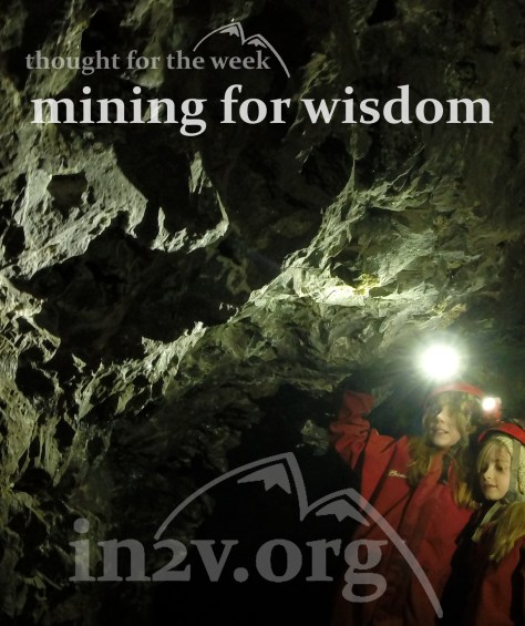 mining for wisdom